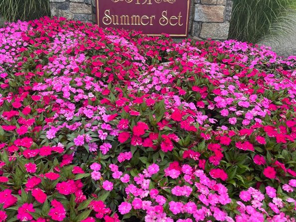 151 Shelter Rock Road 60, Danbury CT 06810