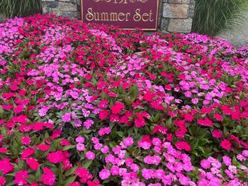 151 Shelter Rock Road