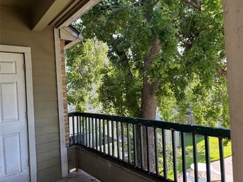 4107  Esters Road 
