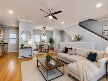2407  Stutz Drive 