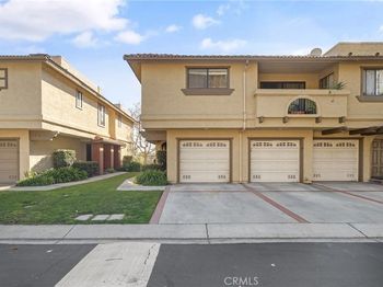 25224 Birch Grove Lane