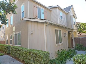 8765 Festival Street