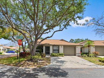 18538 Breezy Palm Way