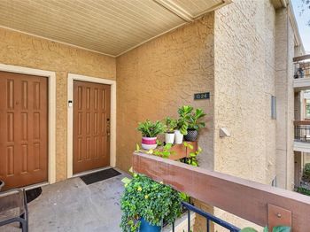 5550  Spring Valley Road 