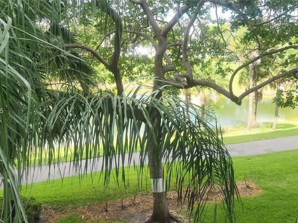 3850 Washington St 314, Hollywood FL 33021