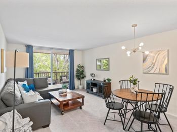 1343 Shelter Creek Lane