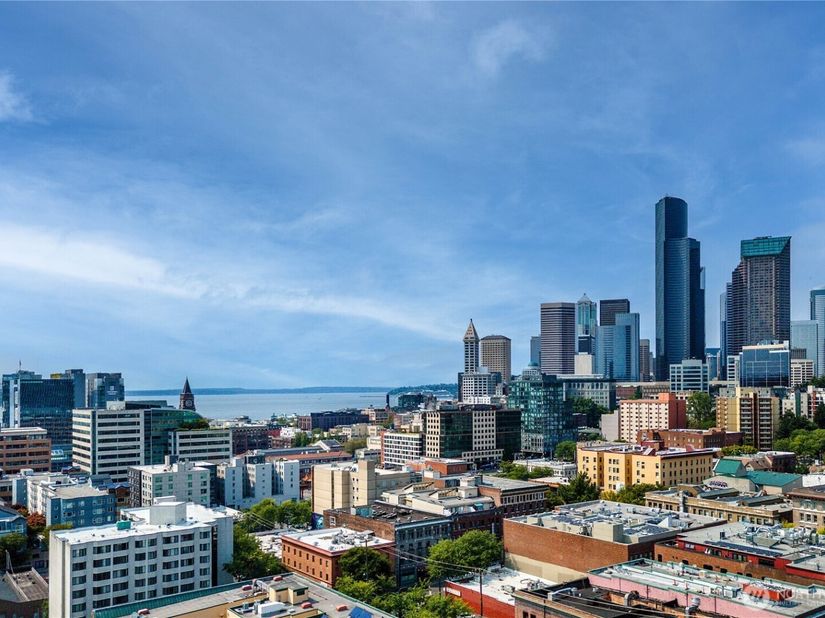 668 S Lane Street 314, Seattle WA 98104