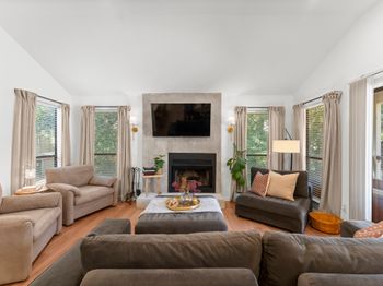 3500 Tangle Brush Drive