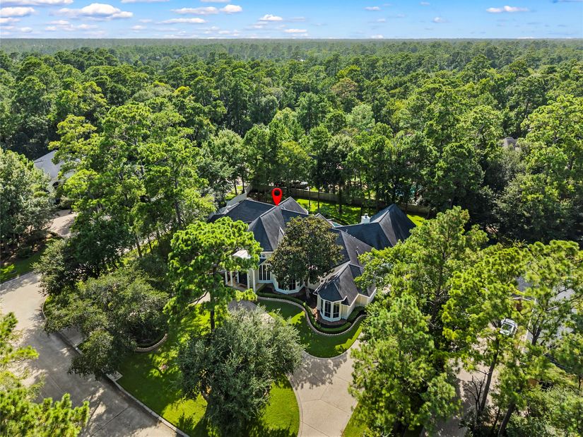 3 N Benton Woods Circle, The Woodlands TX 77382