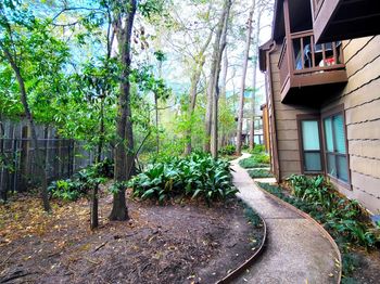 11711 Memorial Drive