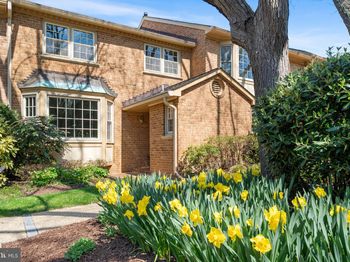 7308 Aynsley Lane