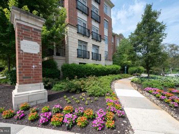 208 Carson Terrace