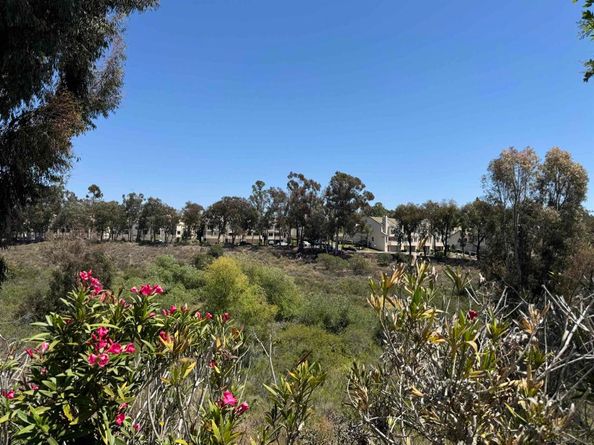 5687 Menorca Dr, San Diego CA 92124
