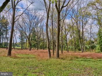 6321 Saw Mill Road