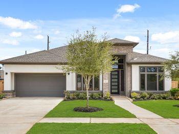 3615 Blue Mistflower