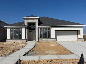 3615 Blue Mistflower