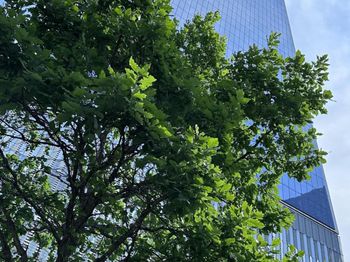 376 Broadway