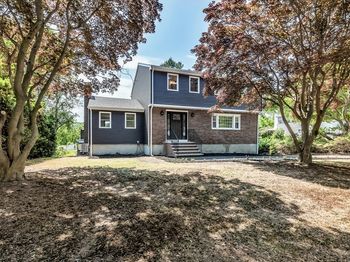 53 Walnut St