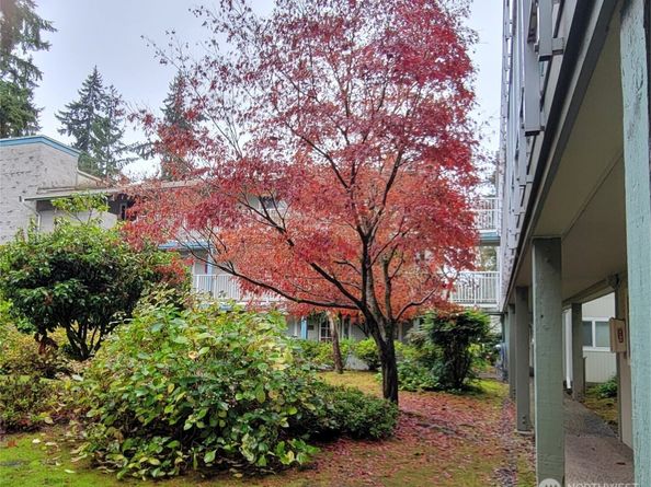 5802 200th Street SW A, Lynnwood WA 98036