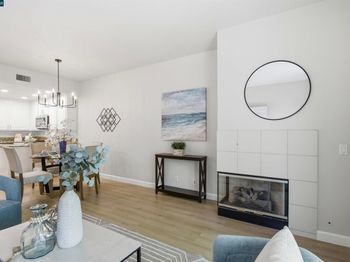 295 Tradewinds