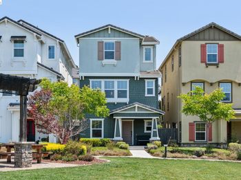 24157 Amaranth Loop