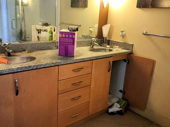 201 4Th St 408, Oakland CA 94607