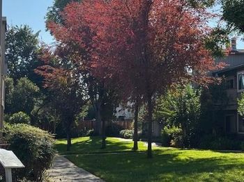 3449 Wine Cask Way