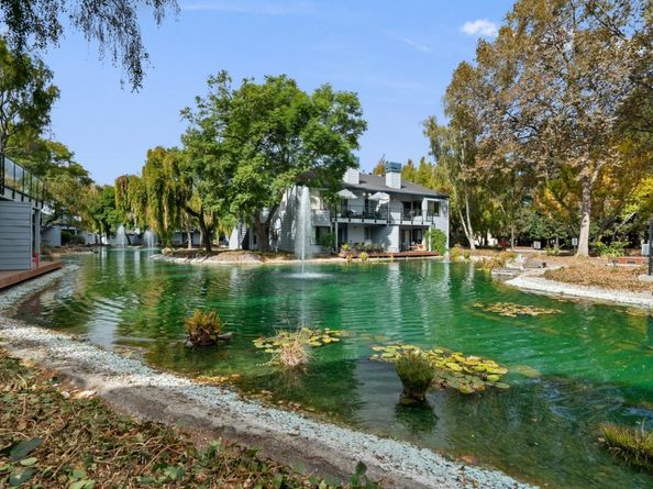 905 W Middlefield Road 982, Mountain View CA 94043