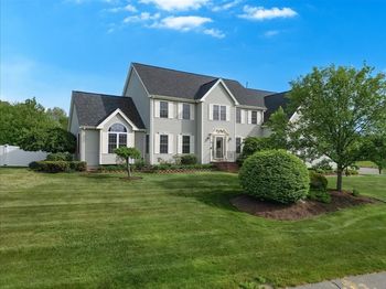 11 Copper Beech
