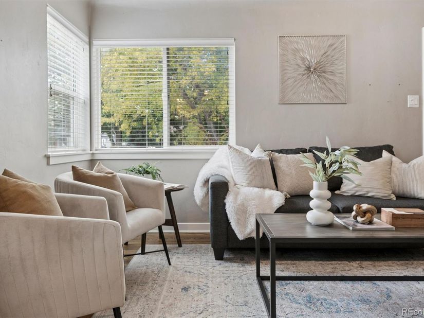 2536 S Race Street, Denver CO 80210