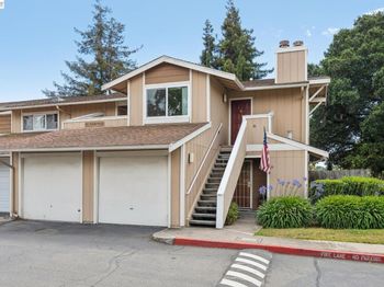 26 Raintree Ct