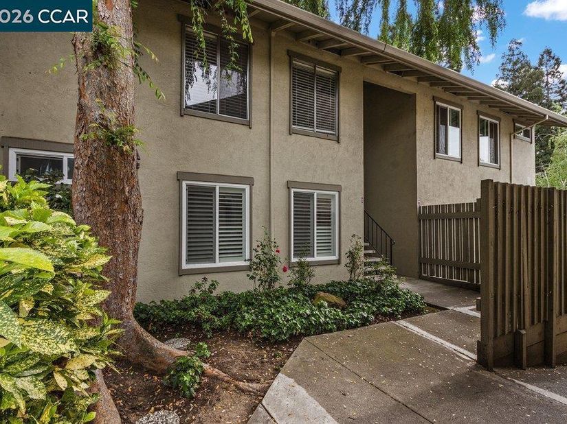 1241 Homestead Ave 206, Walnut Creek CA 94598