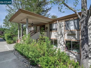 3410 Tice Creek