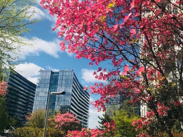 13103 40 Road 11Q, Flushing NY 11354