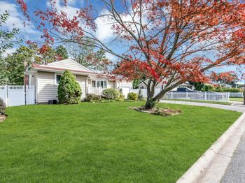 77 Jenkins Avenue