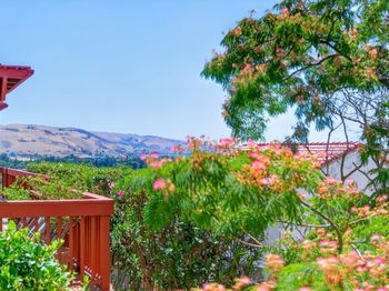618 Skyway Drive