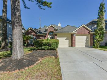 13203 Yaupon Holly Lane