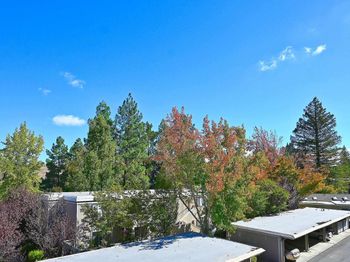 1361 Singingwood Ct