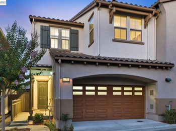 41548 Casabella Cmn