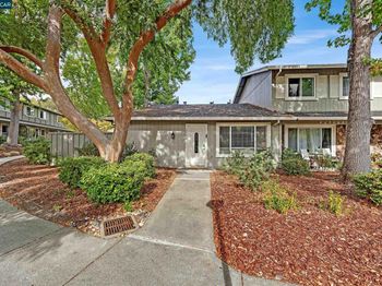 2749 Fountainhead Dr