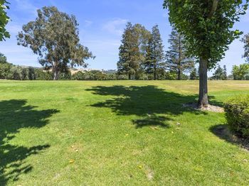 5173 Cribari Knolls