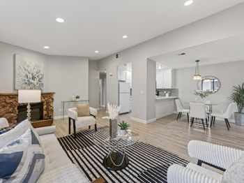 503 Boxleaf Court