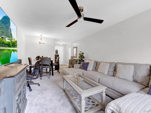 3 Birchwood Court 3H, Mineola NY 11501