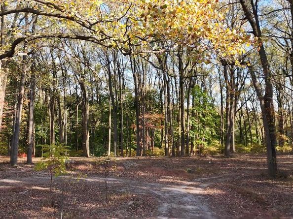 393 Port Royal Avenue, Philadelphia PA 19128