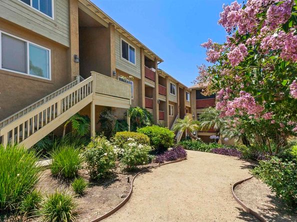 7003 saranac Street 203, San Diego CA 92115