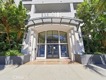838 Pine