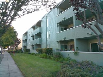 325 Kitty Hawk Rd