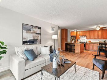 955 Shorepoint Court