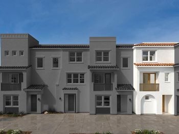 37445 Currant Terrace