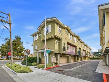 41000 Genesis Common